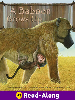 cover image of A Baboon Grows Up
